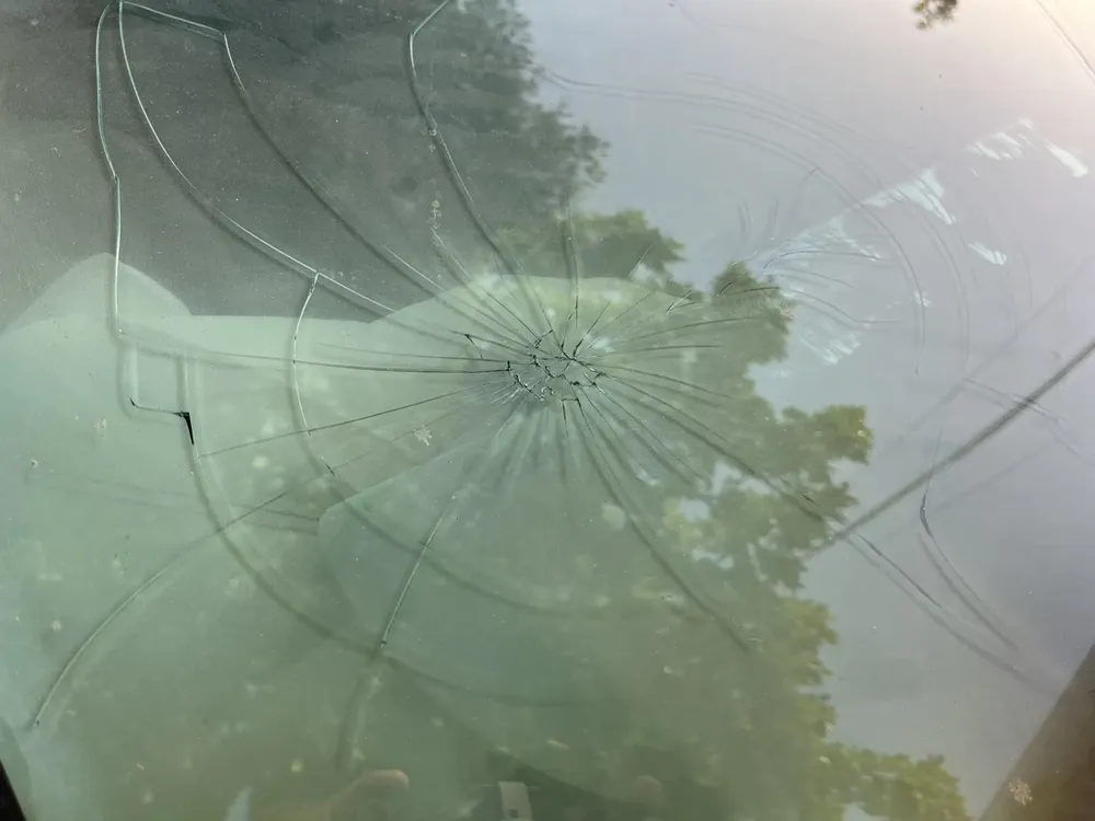 incendio focus 4 (FILEminimizer)