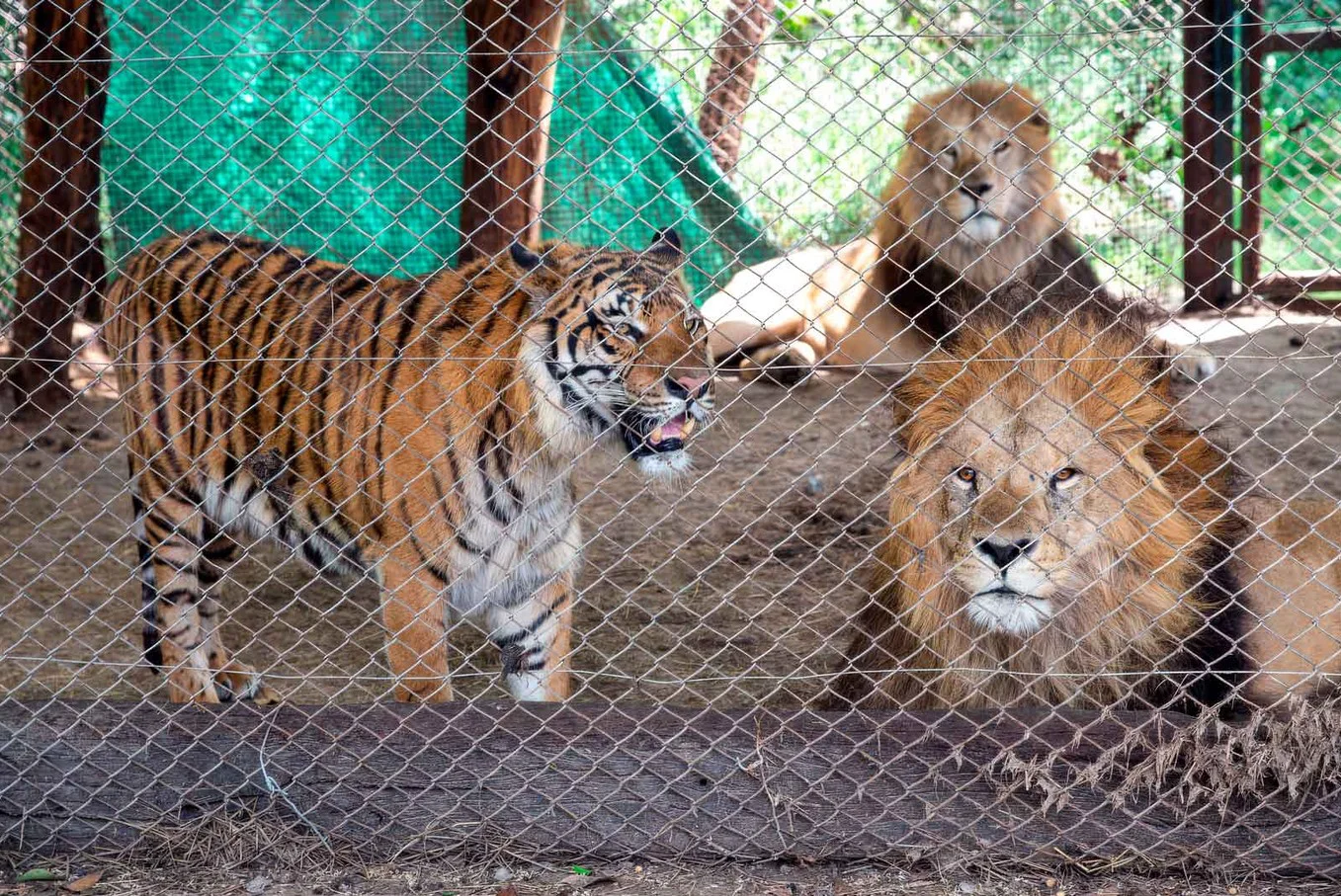 ZOOLOGICO LUJAN