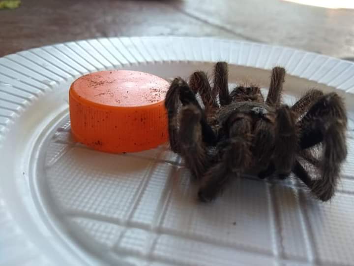 FB_IMG_1576935346227