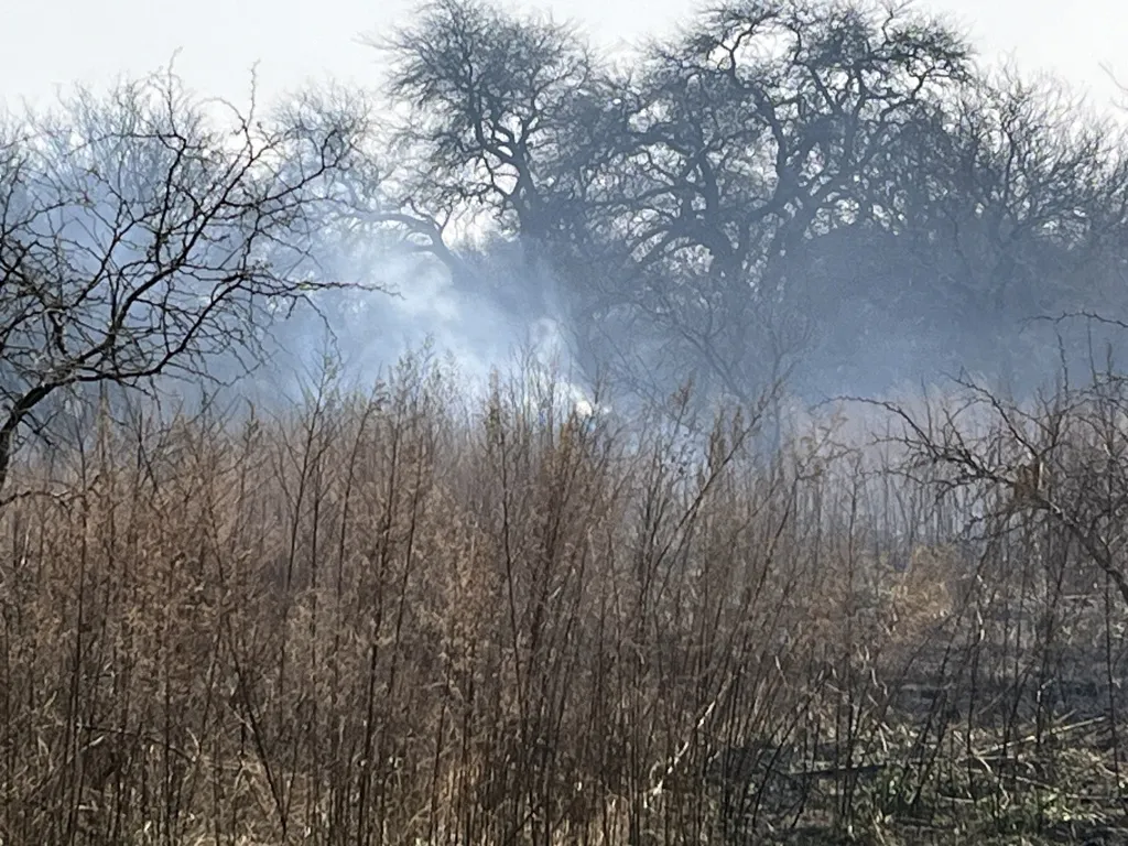 INCNEDIO REALICO ITALIA VOZ 4 (FILEminimizer)