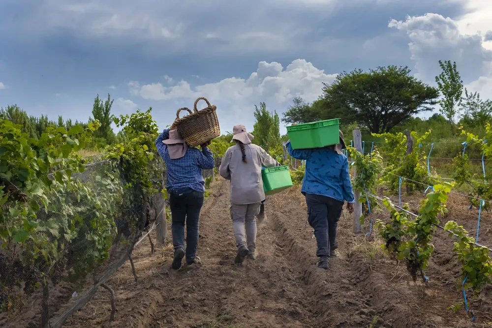 turismo pichi huinca 1 c