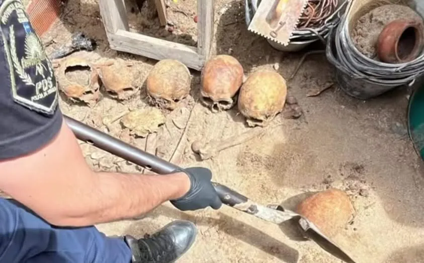 CRANEOS HUMANOS OSTENDE