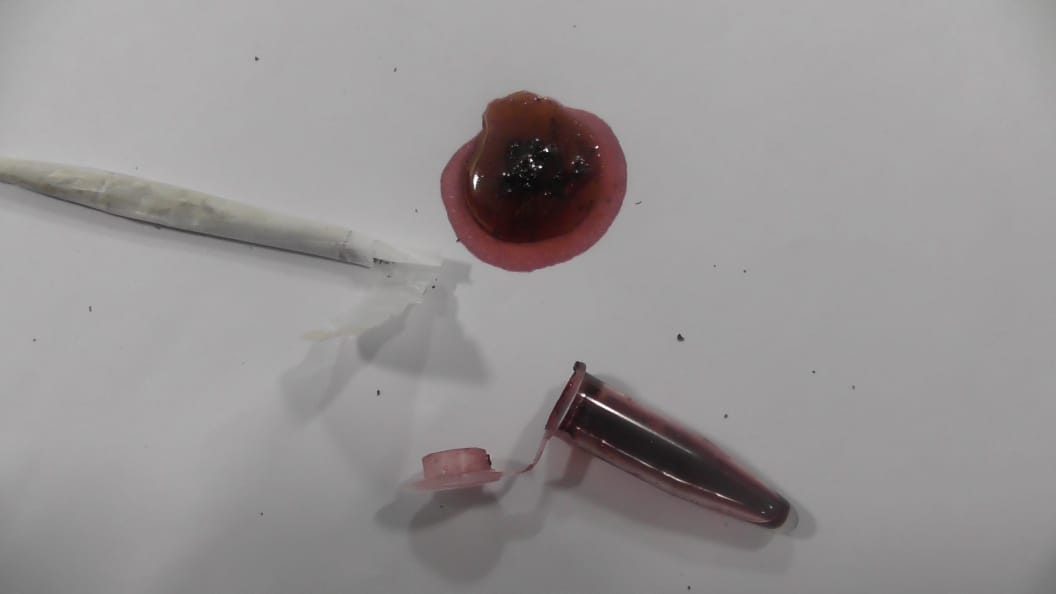 fabba844-7456-4df6-88b6-6805120434cd