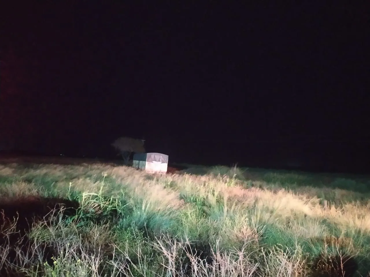 b31784c8-71a1-4769-8526-8b31d236bb9e