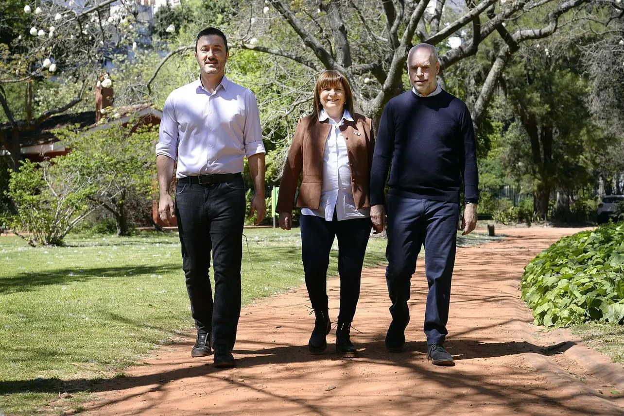 bullrich larreta petri