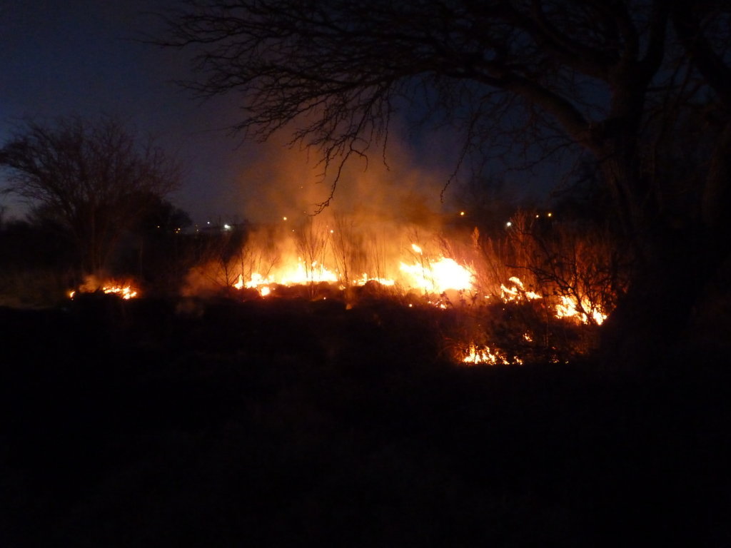 P1230005 (FILEminimizer)