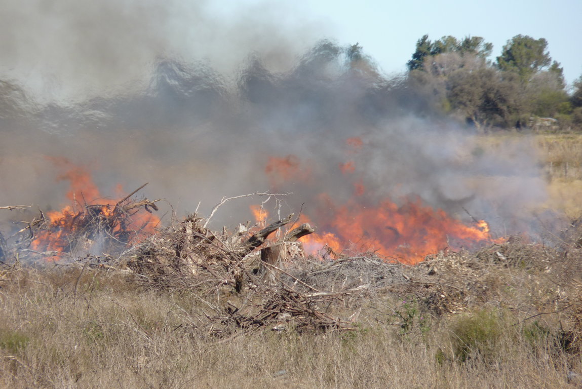 P1380302 (FILEminimizer)