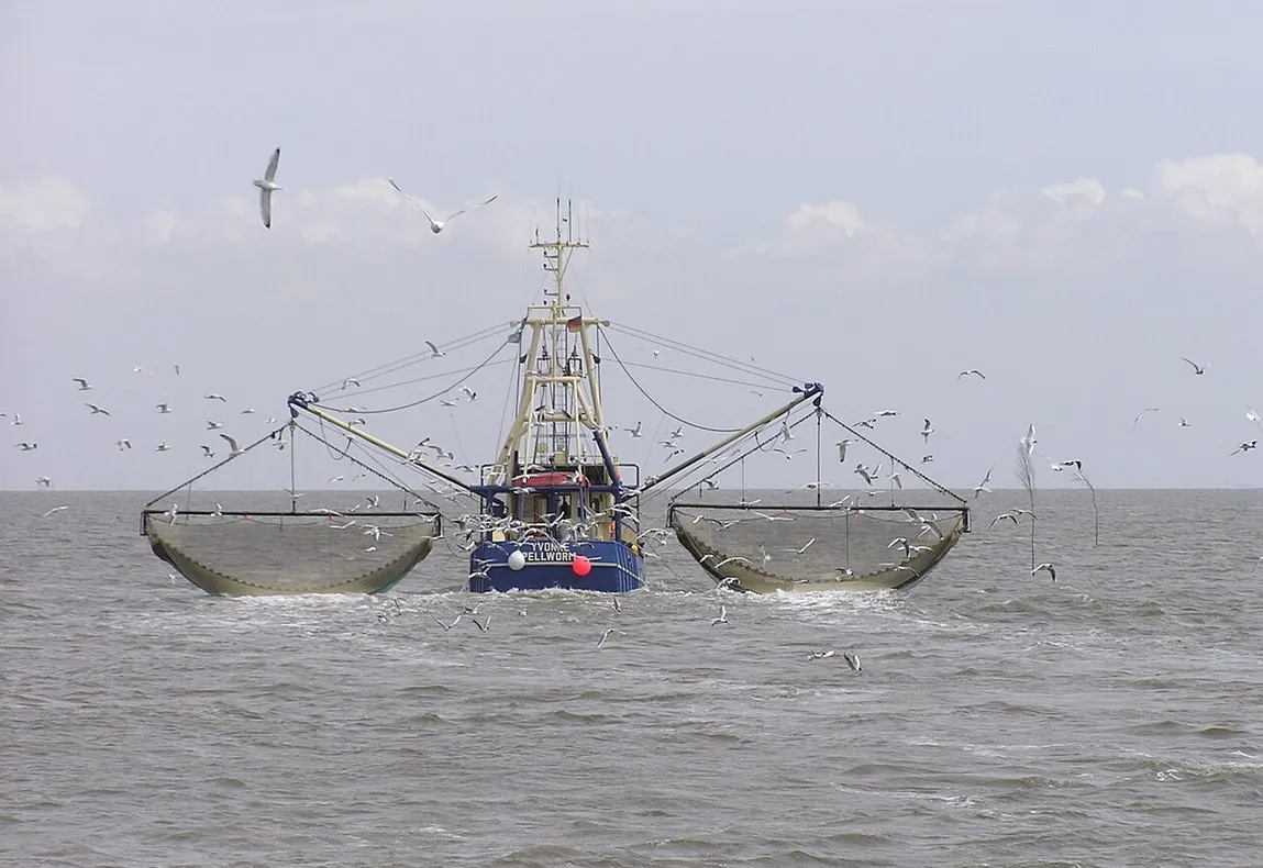 BARCO PESQUERO
