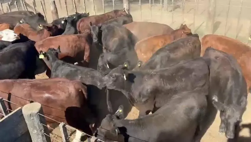 wmremove-transformed(2)