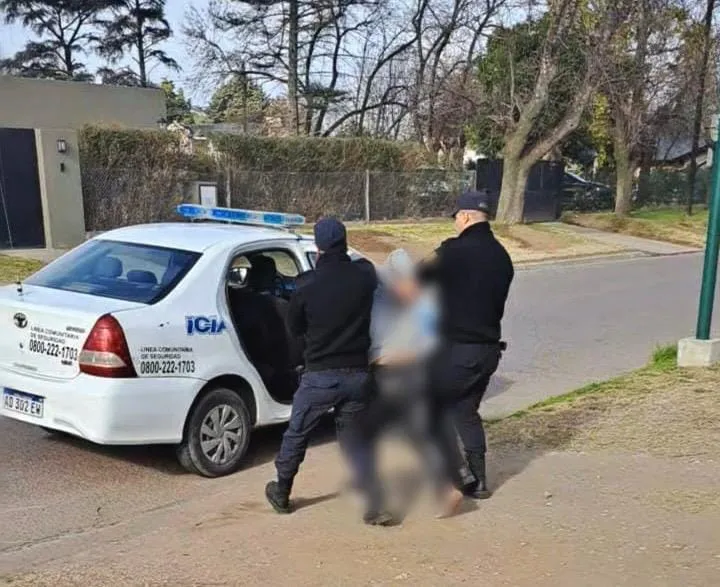 detenido robo carnicería