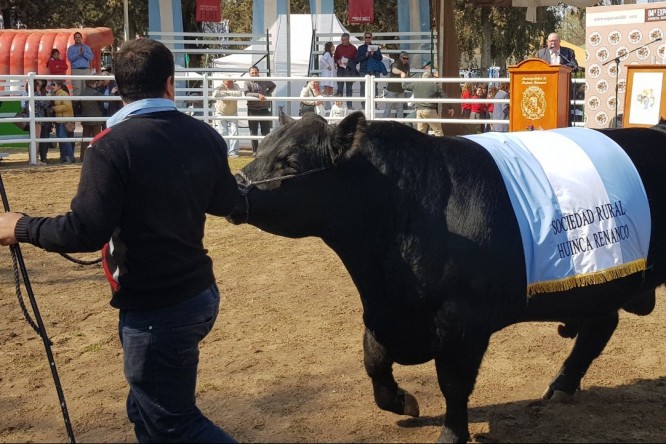 3323ffc9-afc8-49b4-97b0-ef062649fc51-fit-666x444