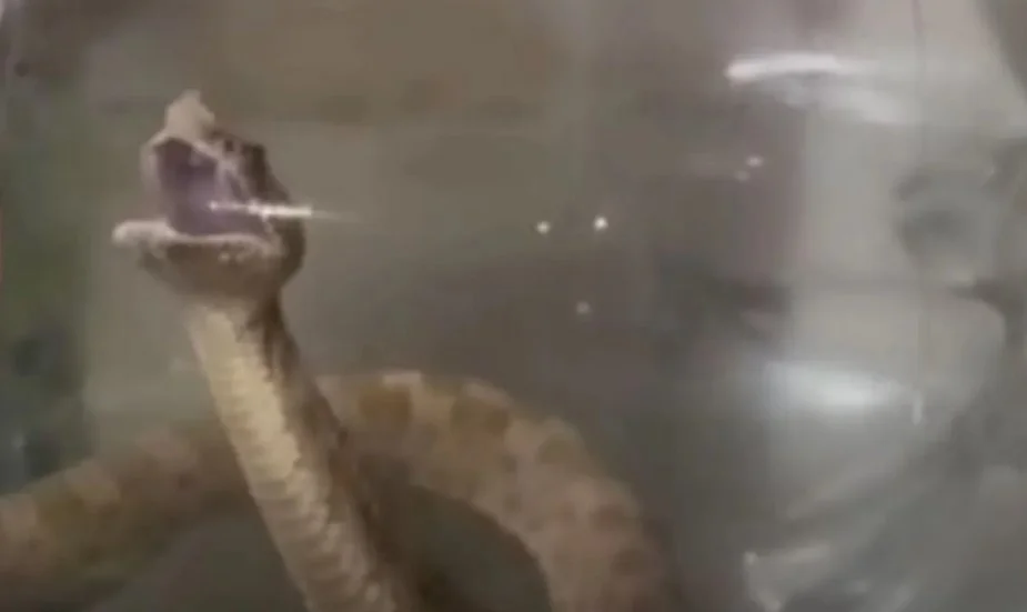 YARARA ÑATA CAPTURADA