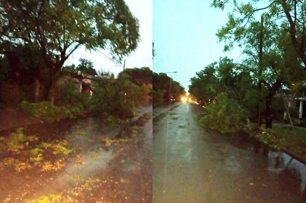 alvear voladura de techos 7