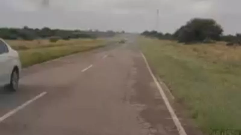 f800x450-150586_202032_5050