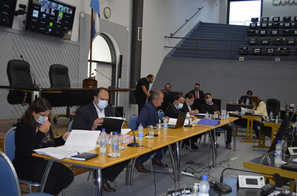 Di Napoli en Diputados 1