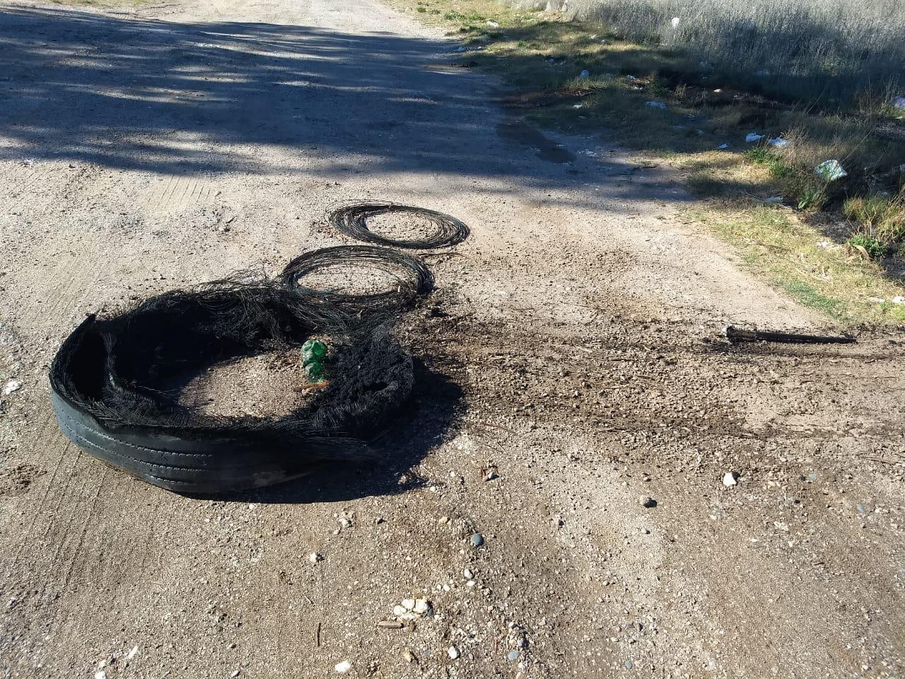 ef1883c6-f44b-43ea-876c-6afcec49c382