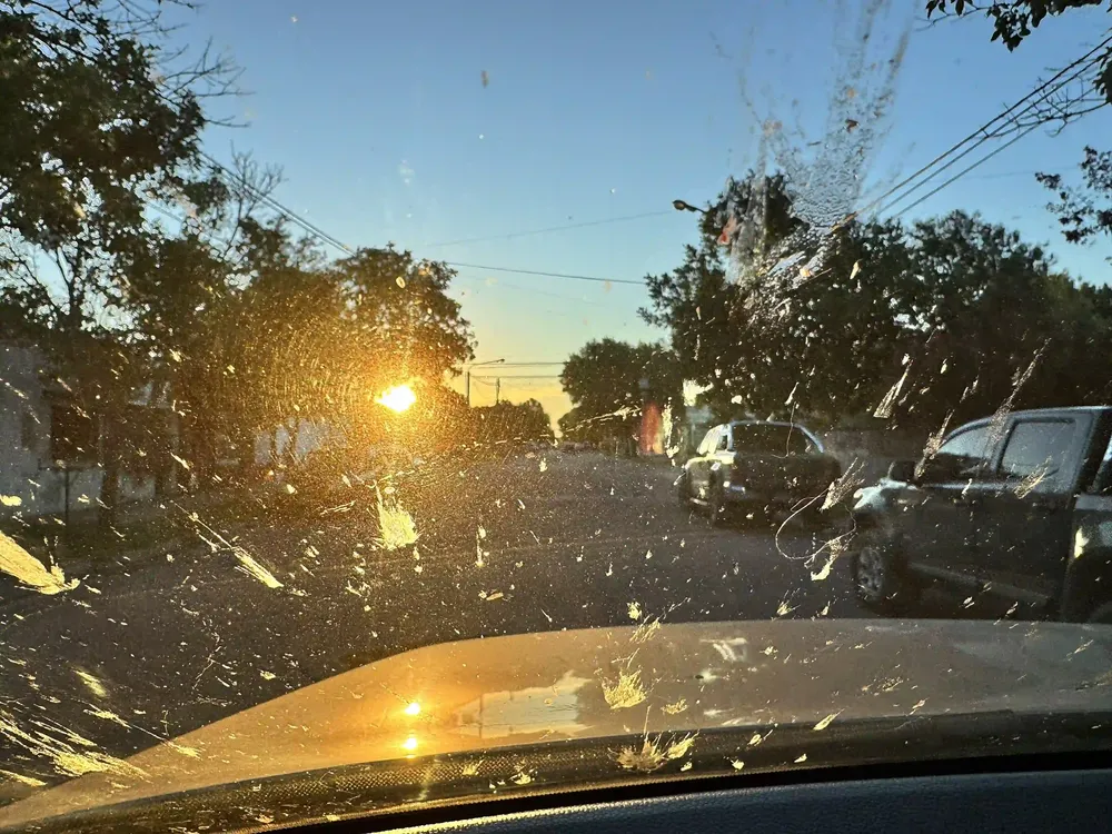 encandilamiento sol de frente 1 c