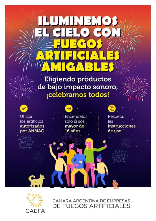 FUEGOS ARTIFICALES 4