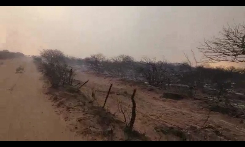 Incendio Mendoza 2018 4