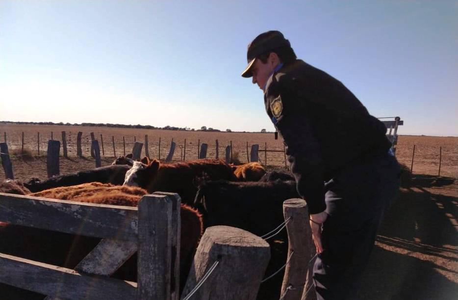 novillitossecuestradosabramo099