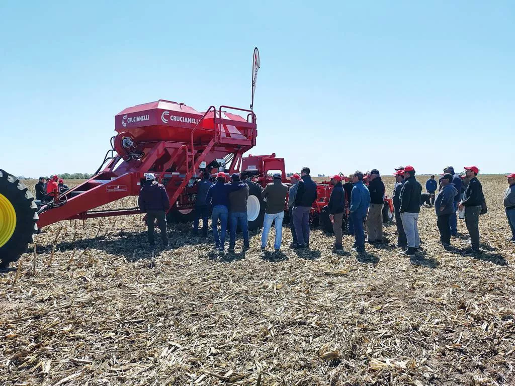 crucianelli 29 (FILEminimizer)