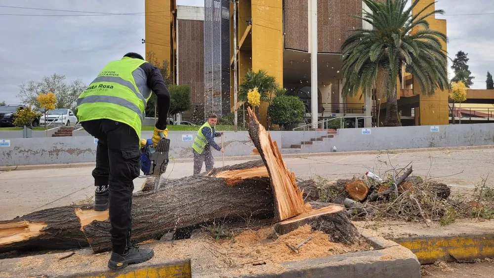 SANTA ROSA MAQUINA TRABAJANDO 3