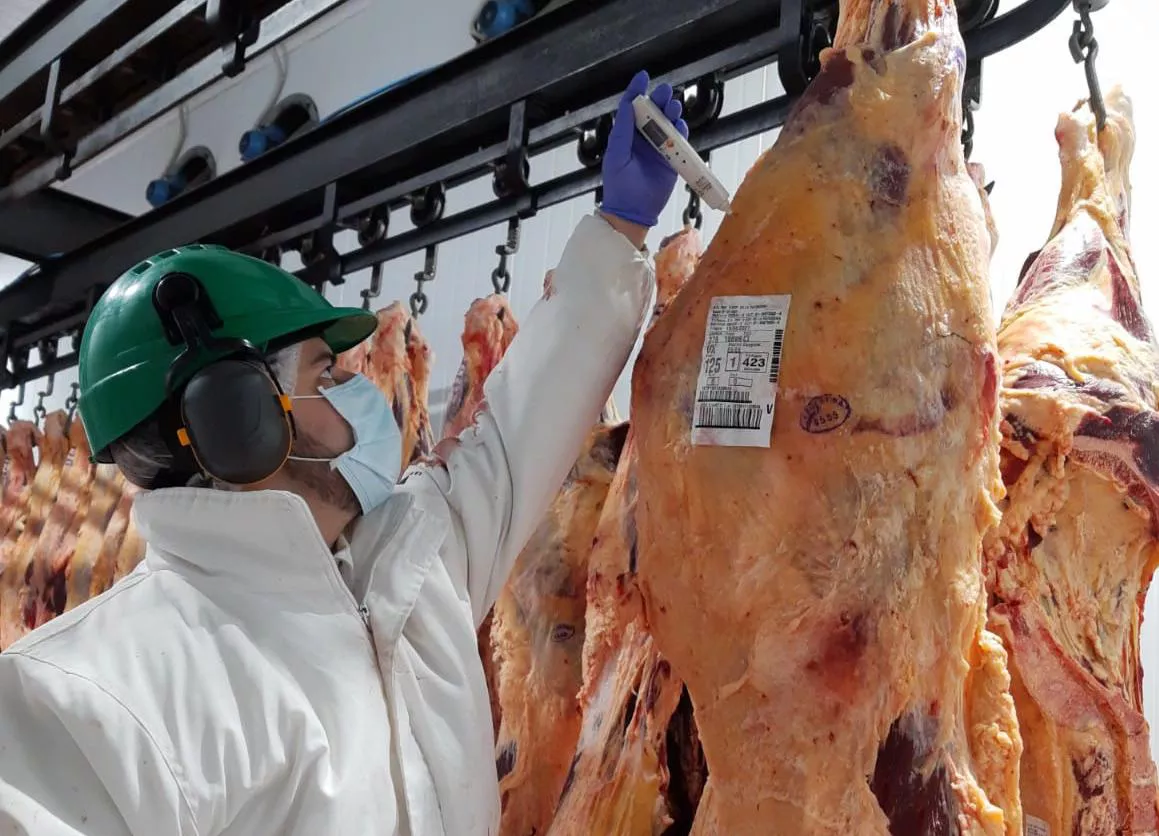 carnes