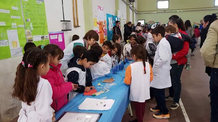 FB_IMG_1526653966185