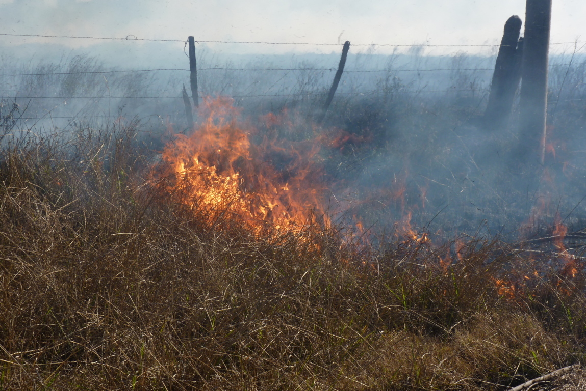 P1380287 (FILEminimizer)