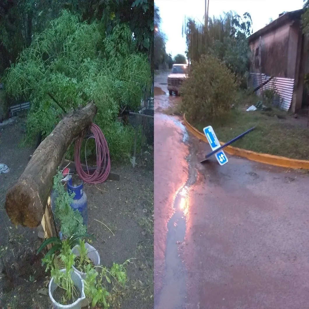 imagen_2024-04-16_082625354