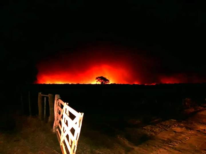 FB_IMG_1555153646458