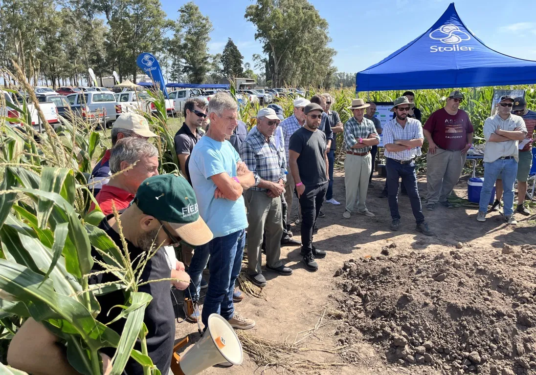 agronehuen 3 (FILEminimizer)