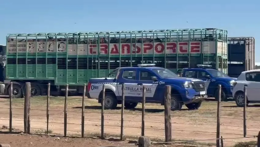 wmremove-transformed(1)