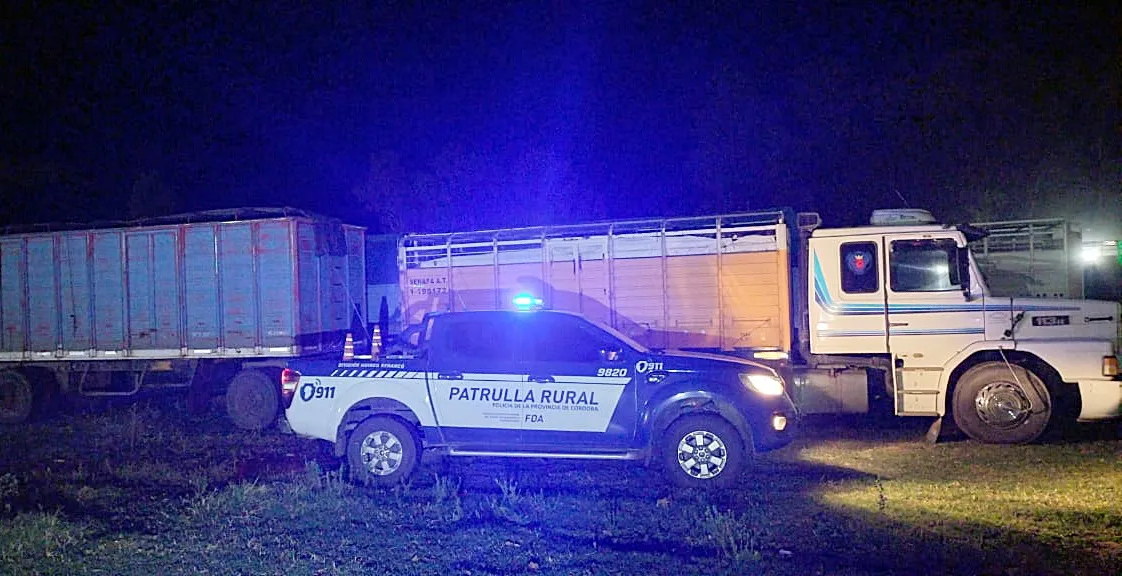 ROBO CEREAL DEL CAMPILLO 3