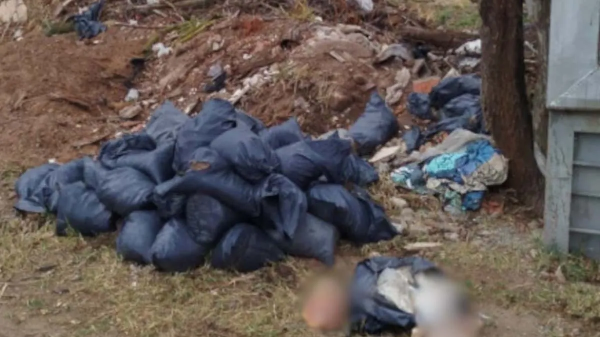 BASURA1