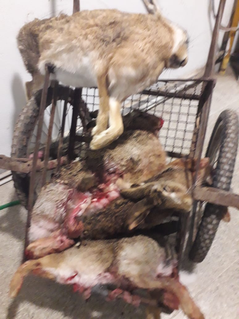 58eeca62-5c35-4f15-ad60-b9869f324880