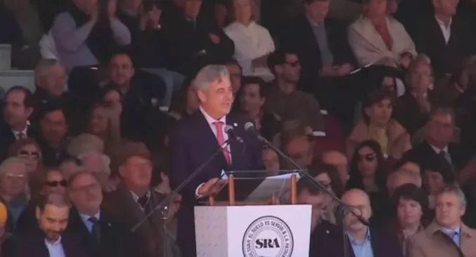 Nicolás Pino
