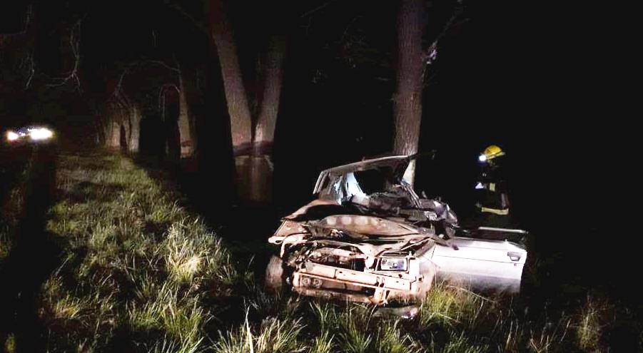 choqueruta5goldtrend344