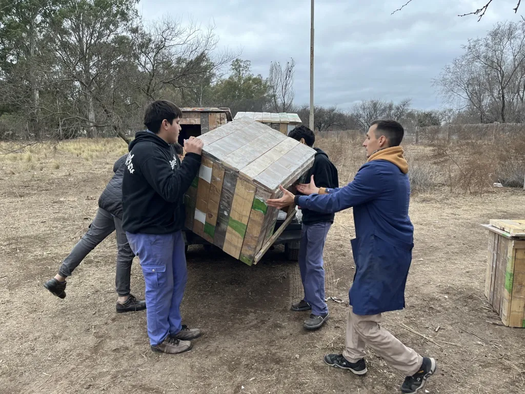 epet araa 7 (FILEminimizer)