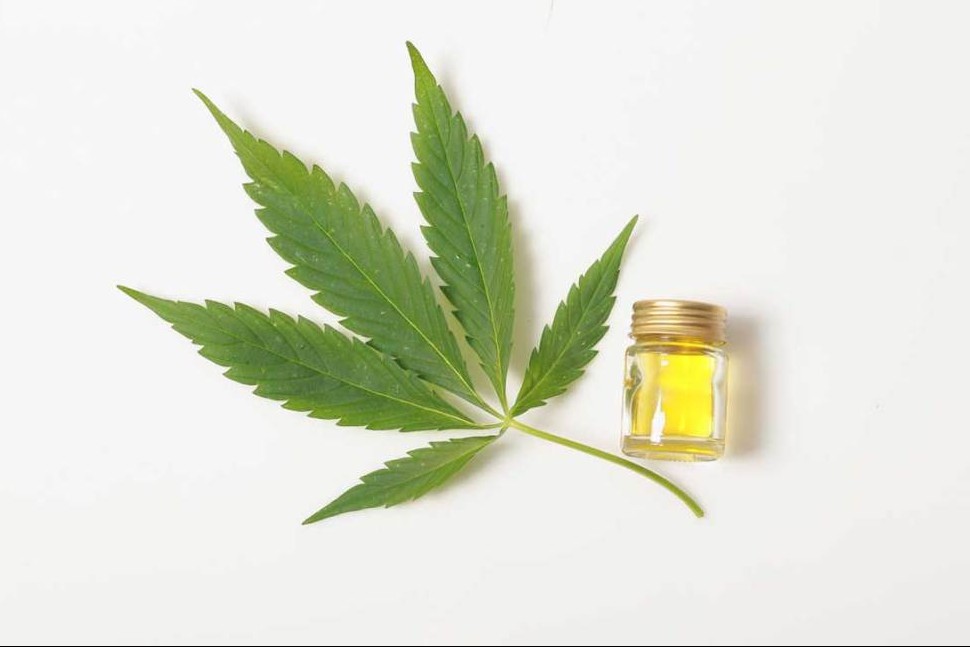 cbd-lasca-cannabis-medicinal-paraguay-argentina-chile1