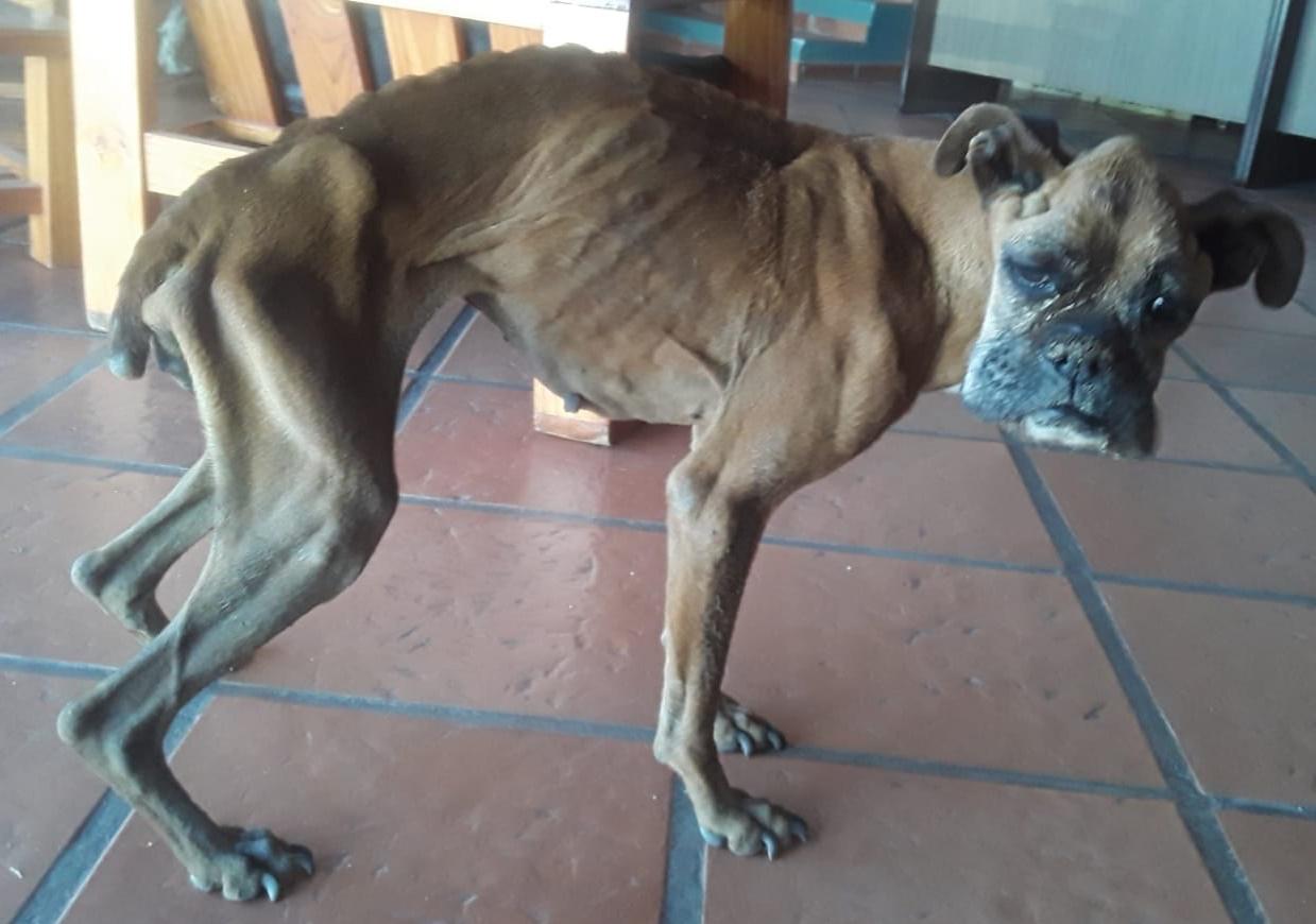 cbb55b70-f1bd-4d9b-98d8-0aef9c4a50d2