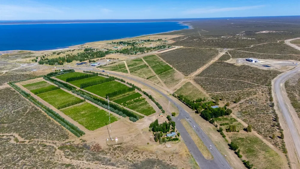 Bodega Casa de Piedra 1
