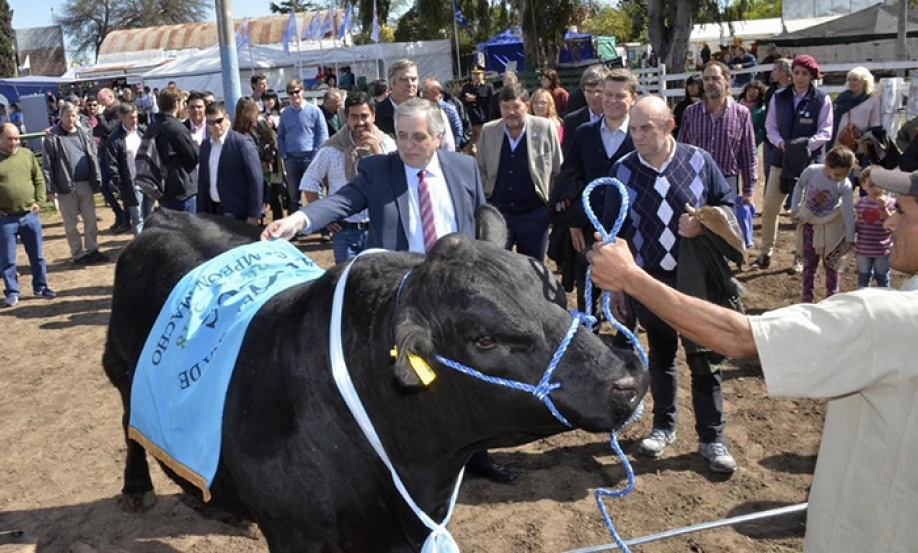 ef5b88189b313043d629917f47eb0084_XL