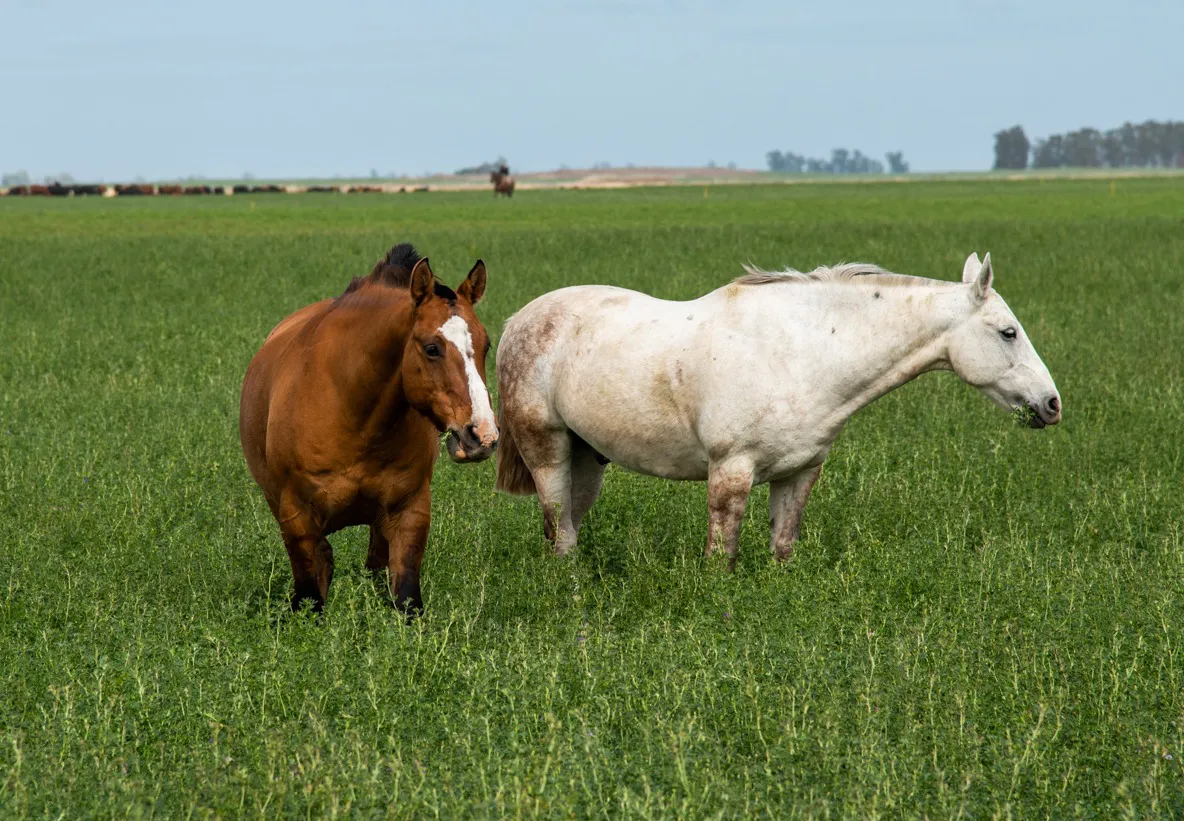 325186_9299ad4d-c765-4a16-87b5-ec78037f7871