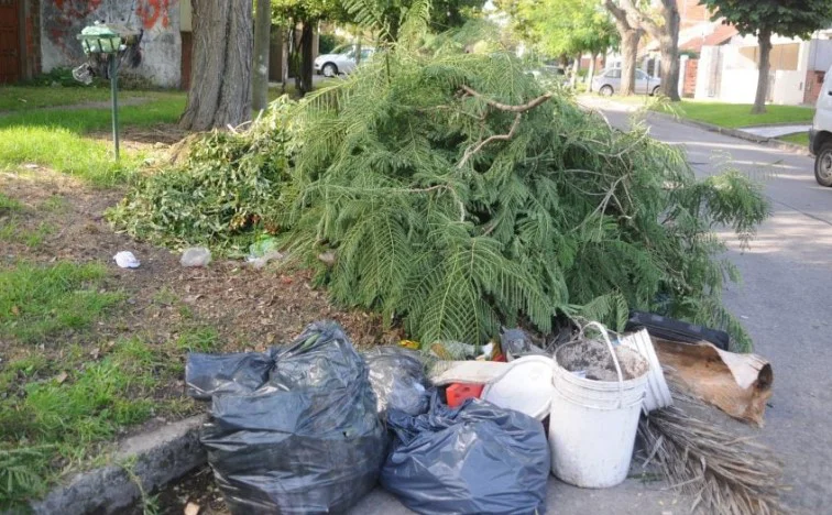 restos de poda y basura