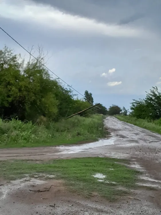 414017429_7366286913382917_8295552357928705326_n