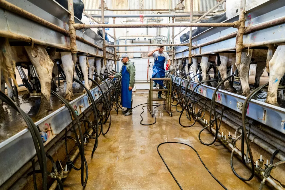 636870_whatsapp-image-2023-02-22-at-19.25.13