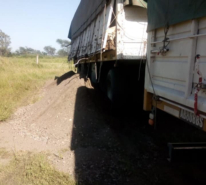 51216204_2294808403864152_5996144382418354176_n (1)