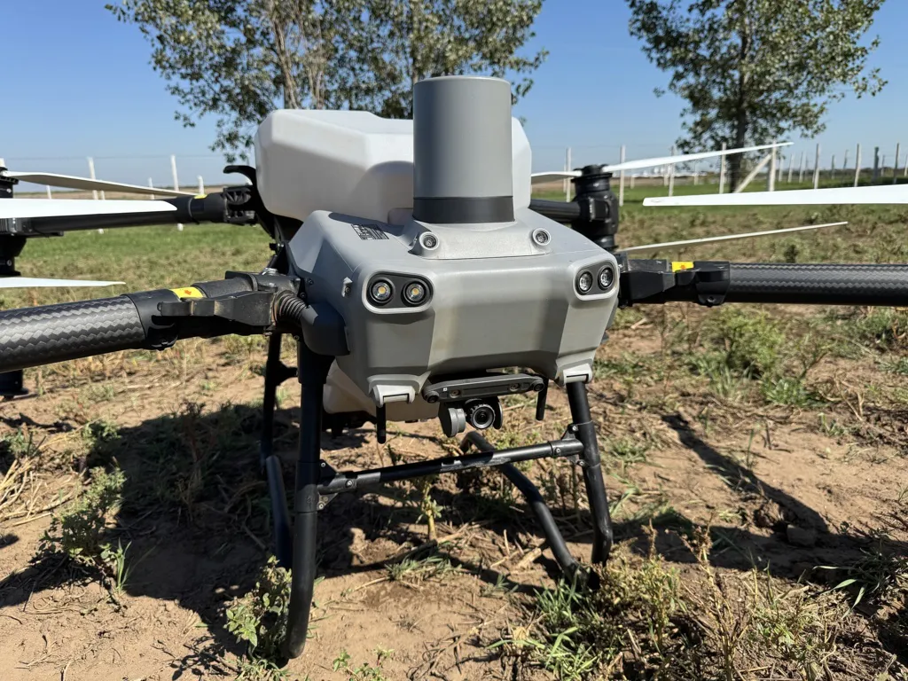 agrnehuen jornada lagos 18 FILE