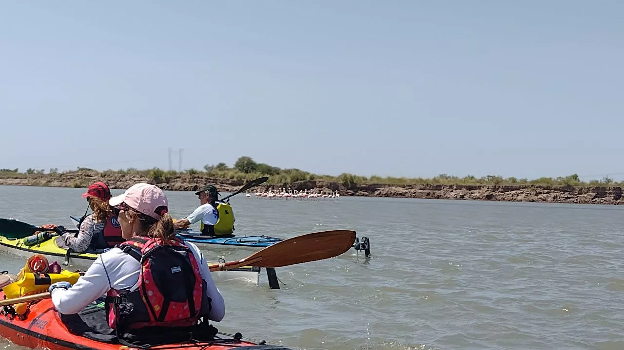 kayaks